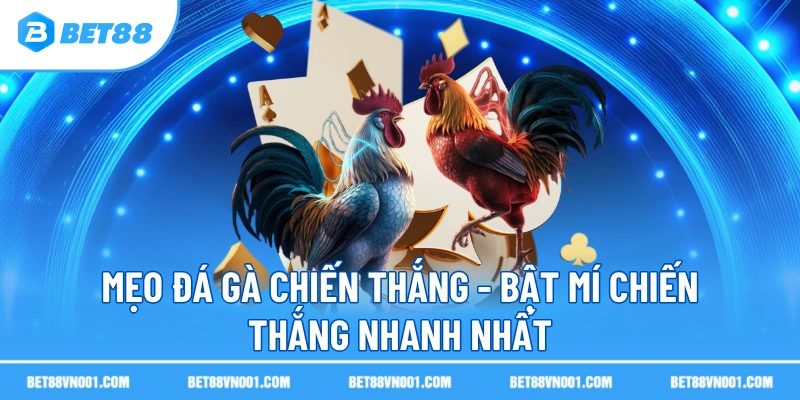 Mẹo Đá Gà Chiến Thắng BET88- Bật Mí Chiến Thắng Nhanh Nhất 3 Mẹo Đá Gà Chiến Thắng BET88- Bật Mí Chiến Thắng Nhanh Nhất Phân tích phương pháp qua chiến thuật đá gà