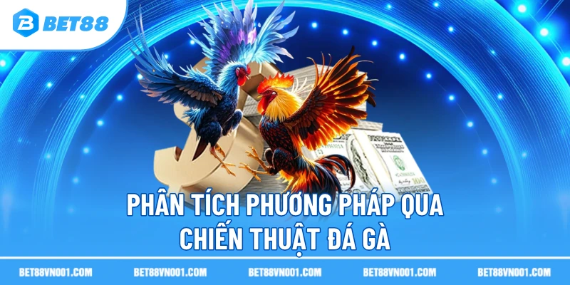 Phân tích phương pháp qua chiến thuật đá gà